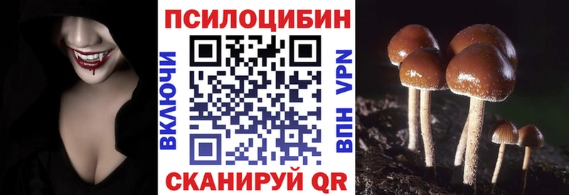 Галлюциногенные грибы Psilocybine cubensis  Олёкминск 